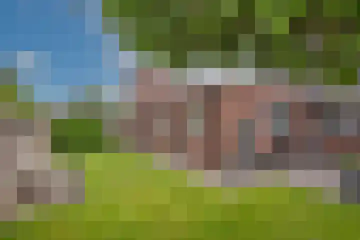 Sleutelbloem 59 Delden thumbnail 36