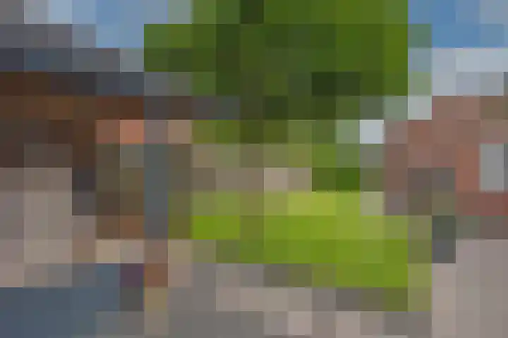 Sleutelbloem 59 Delden thumbnail 37