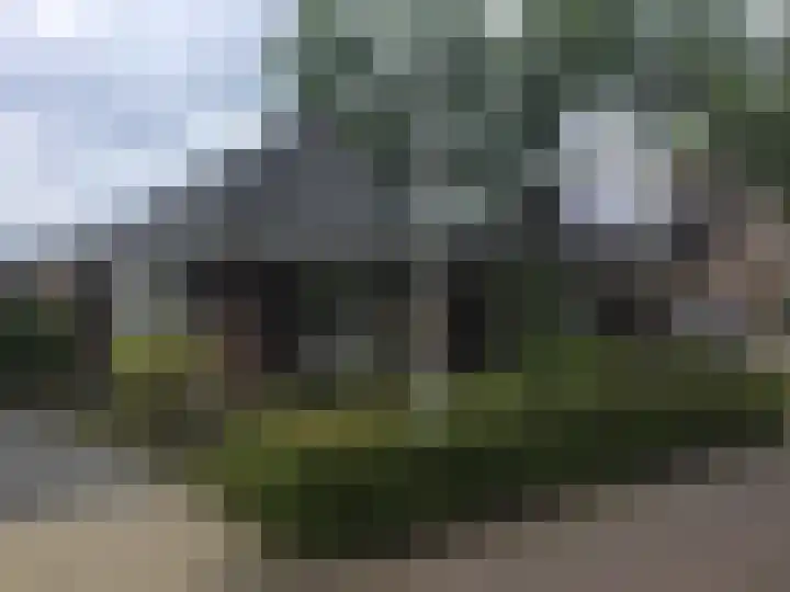 Sleutelbloem 59 Delden thumbnail 39