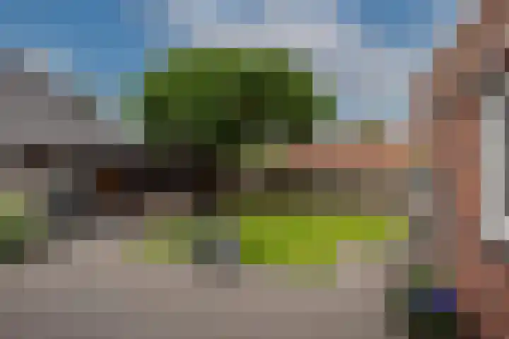 Sleutelbloem 59 Delden thumbnail 4