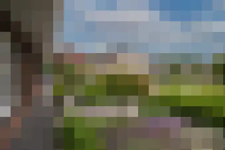 Sleutelbloem 59 Delden thumbnail 40