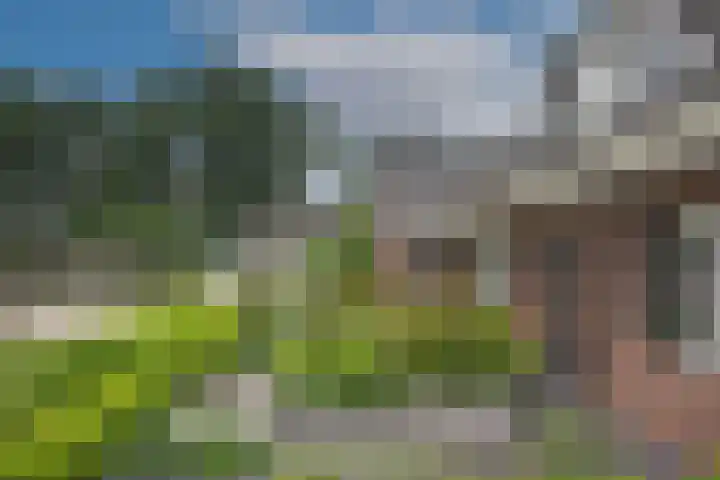 Sleutelbloem 59 Delden thumbnail 41