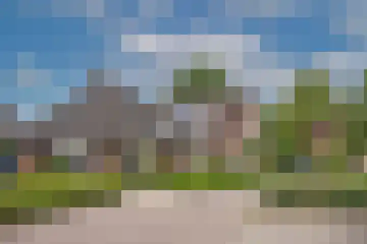 Sleutelbloem 59 Delden thumbnail 42