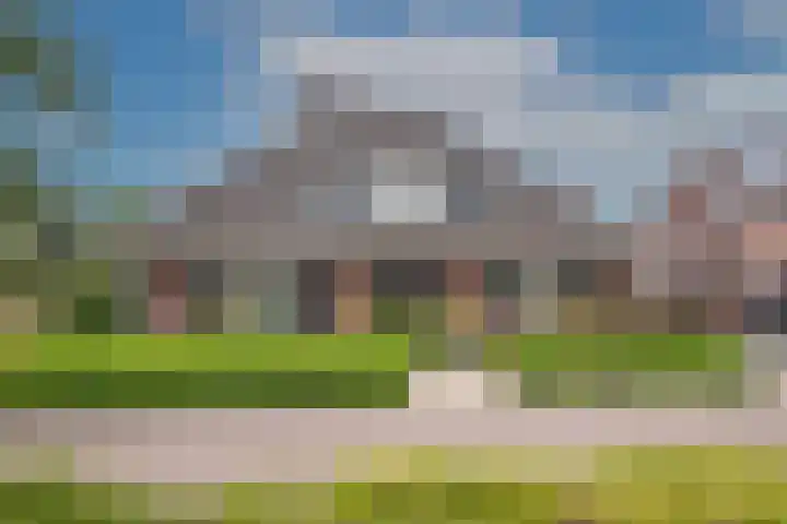 Sleutelbloem 59 Delden thumbnail 43