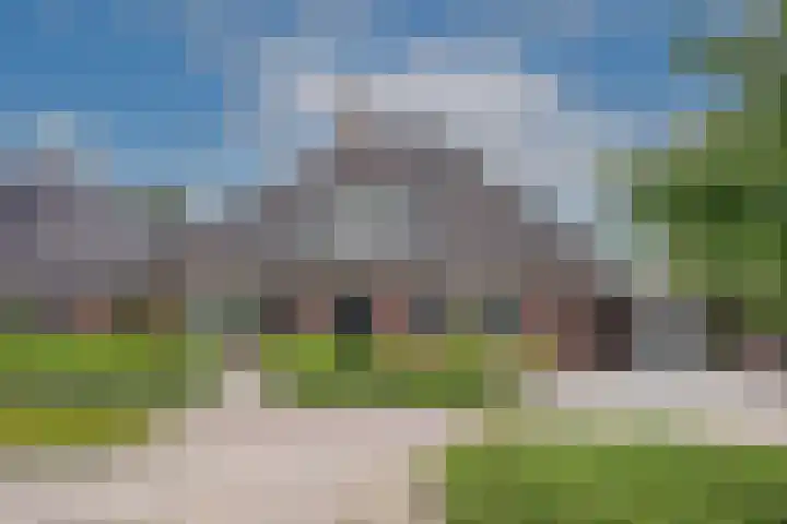 Sleutelbloem 59 Delden thumbnail 49