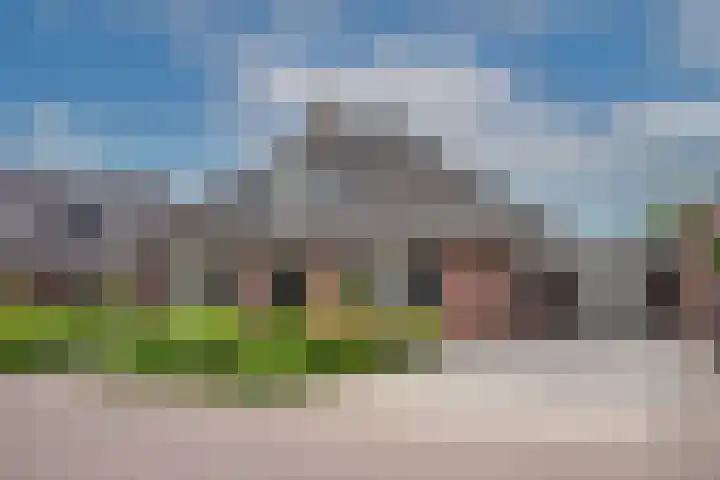 Sleutelbloem 59 Delden thumbnail 5