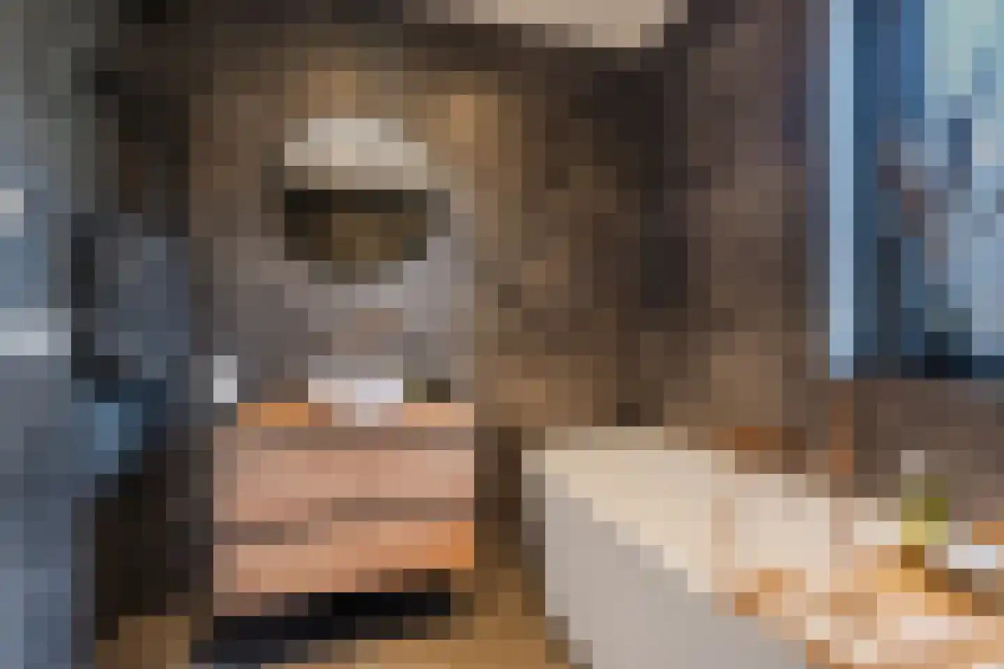 Sleutelbloem 60 Berghem thumbnail 27