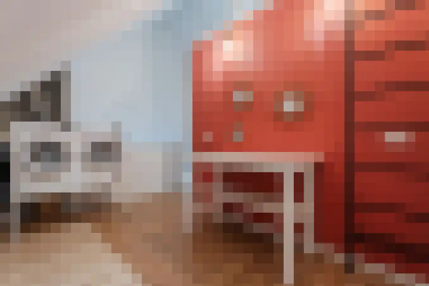 Sleutelbloem 60 Berghem thumbnail 33