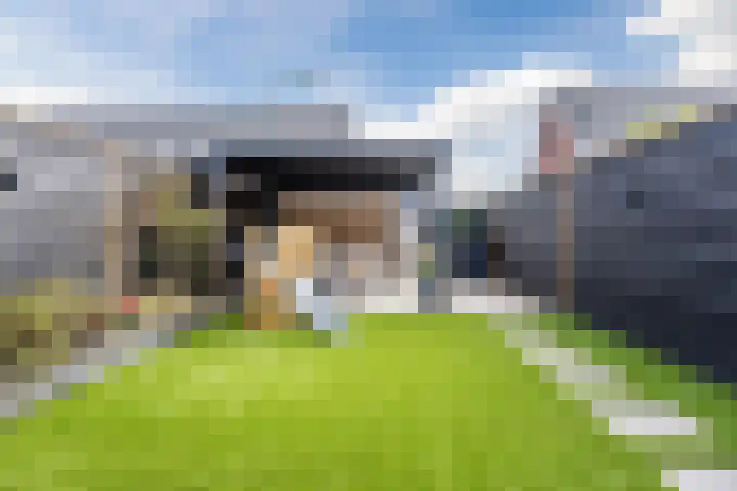 Sleutelbloem 60 Berghem thumbnail 34