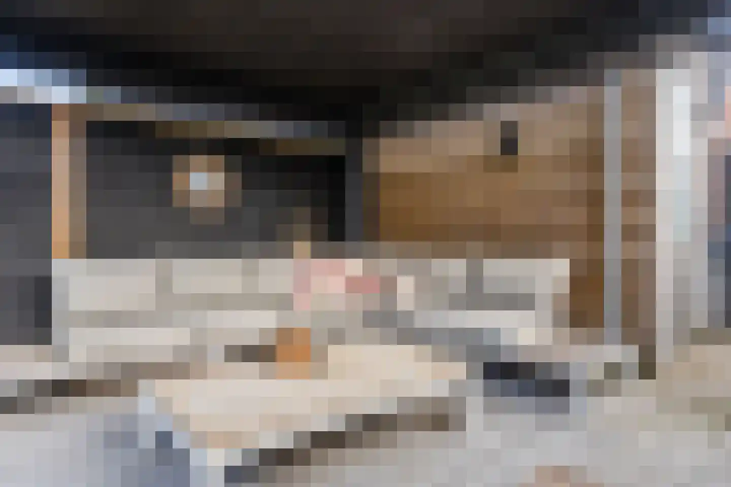 Sleutelbloem 60 Berghem thumbnail 37