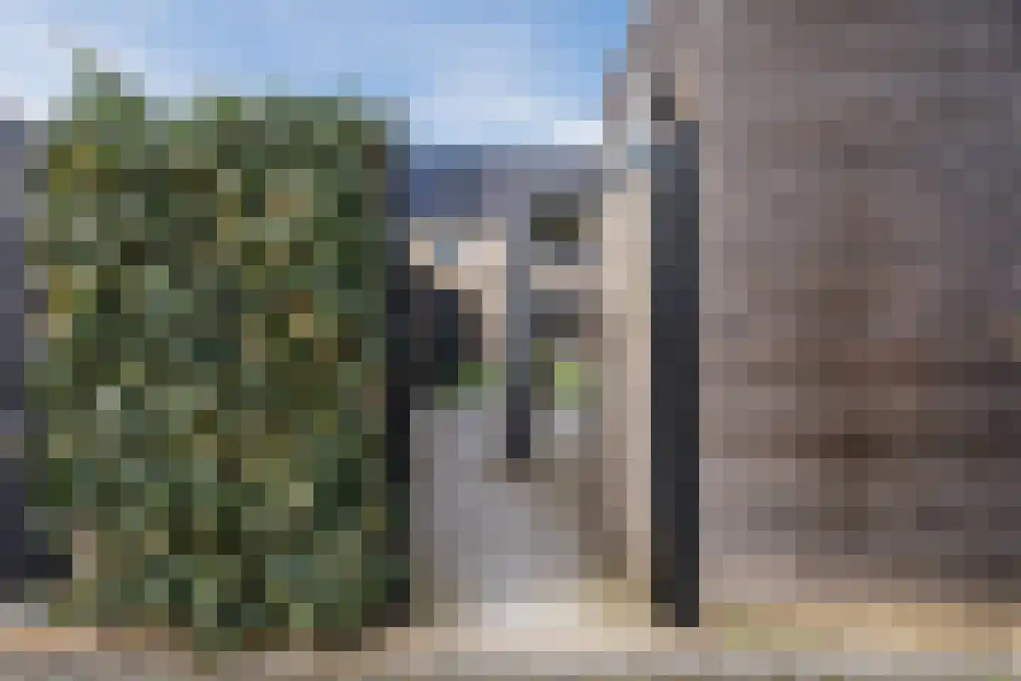 Sleutelbloem 60 Berghem thumbnail 39