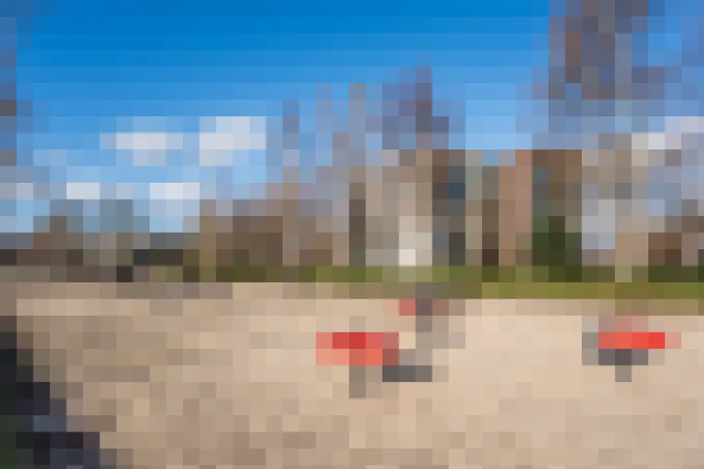Sleutelbloem 60 Berghem thumbnail 40