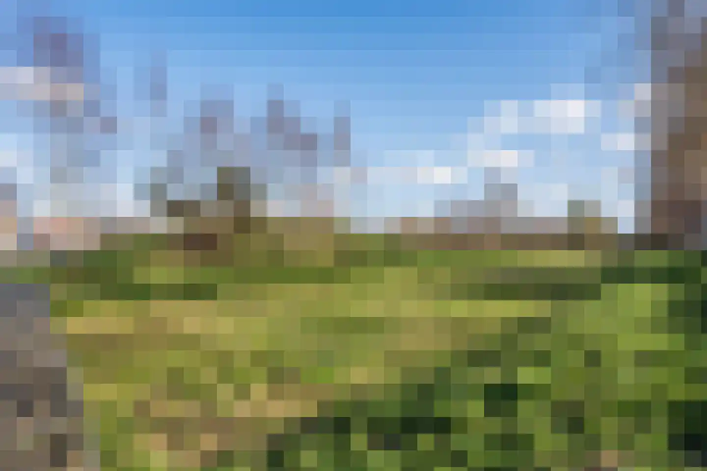 Sleutelbloem 60 Berghem thumbnail 41