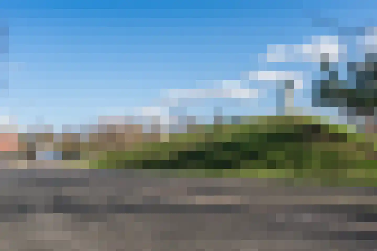Sleutelbloem 60 Berghem thumbnail 42
