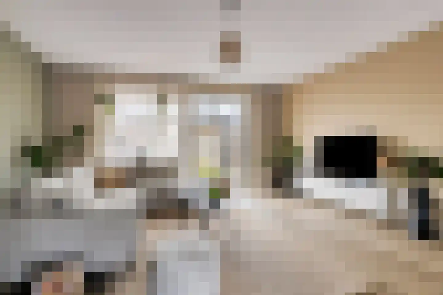 Sleutelbloem 69 Leek thumbnail 12