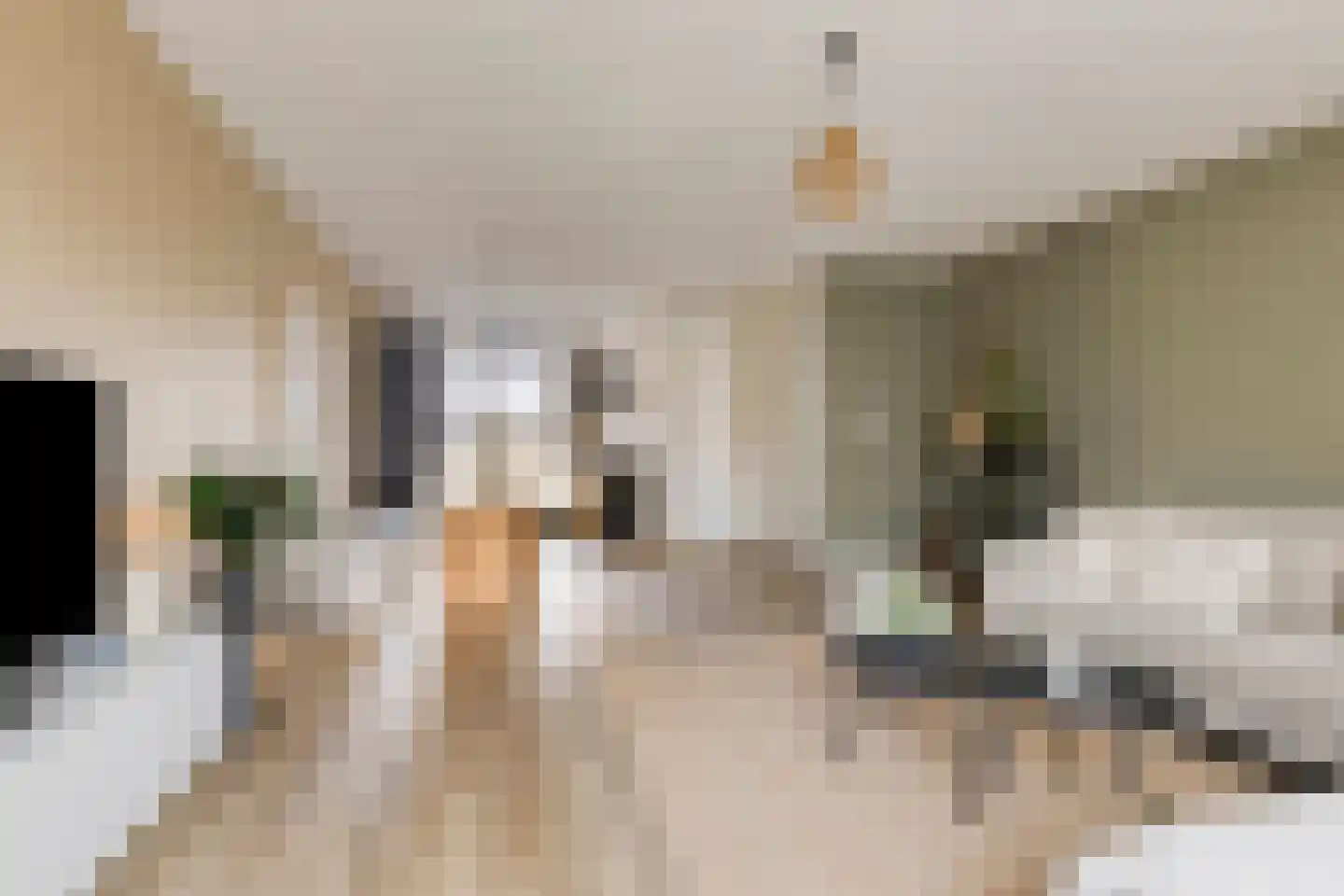 Sleutelbloem 69 Leek thumbnail 15