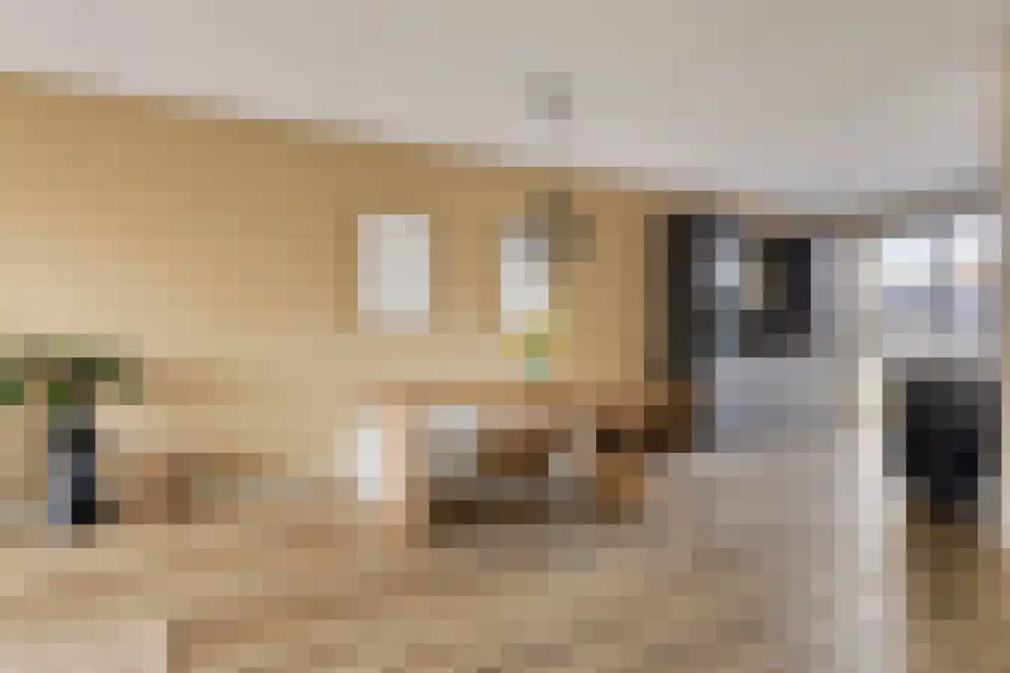 Sleutelbloem 69 Leek thumbnail 16