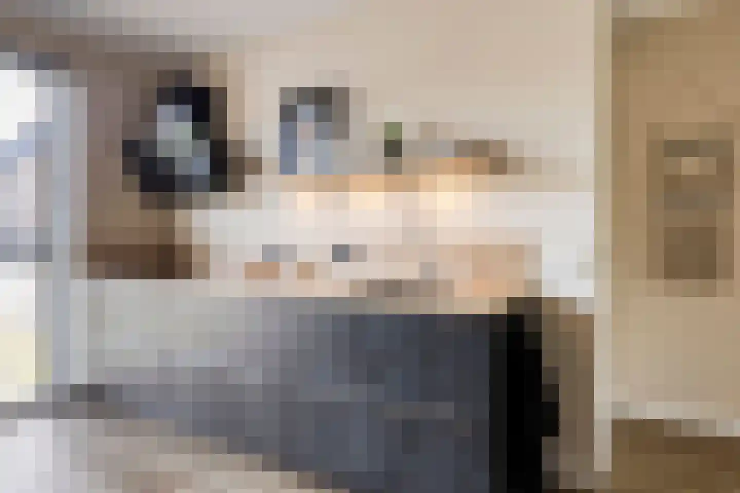 Sleutelbloem 69 Leek thumbnail 21