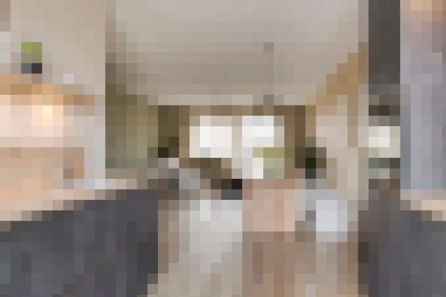 Sleutelbloem 69 Leek thumbnail 22