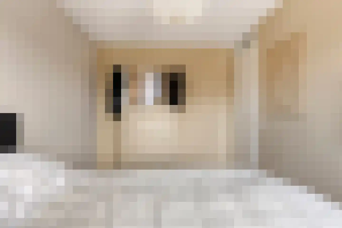 Sleutelbloem 69 Leek thumbnail 27