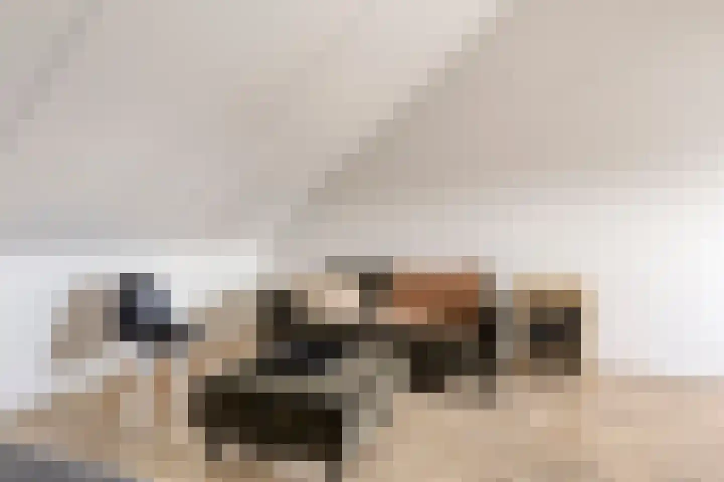 Sleutelbloem 69 Leek thumbnail 37