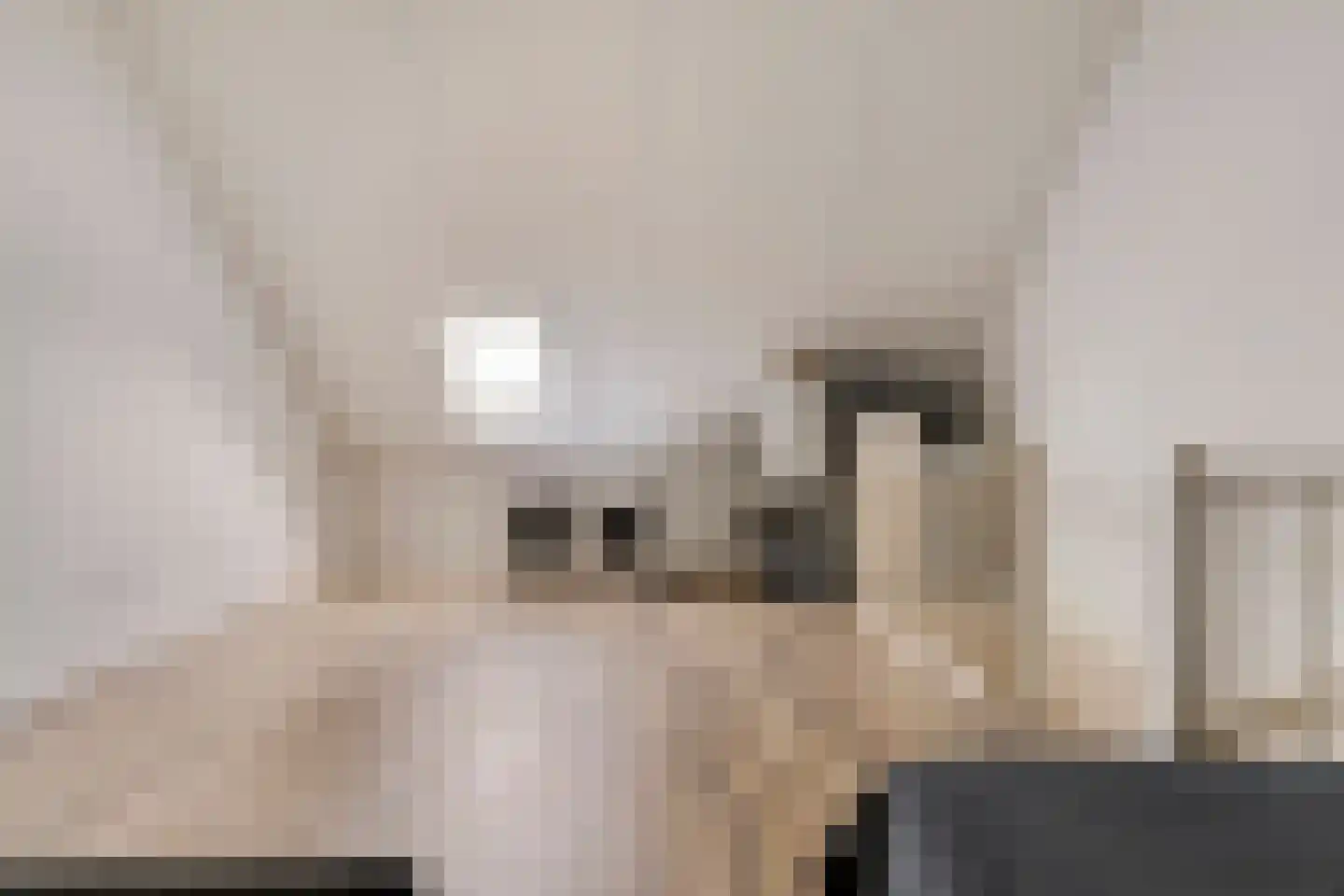 Sleutelbloem 69 Leek thumbnail 38