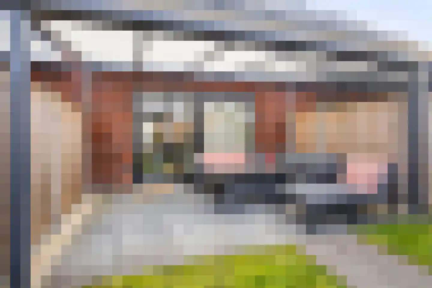 Sleutelbloem 69 Leek thumbnail 39