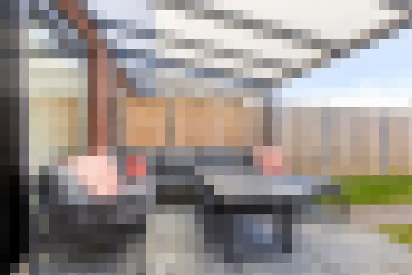 Sleutelbloem 69 Leek thumbnail 40