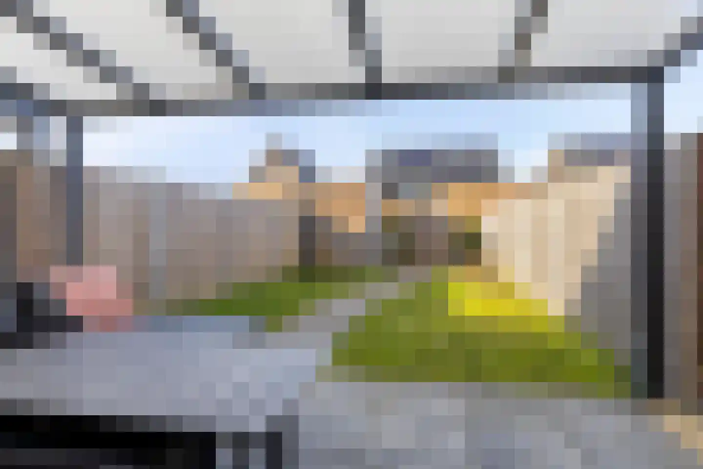Sleutelbloem 69 Leek thumbnail 41