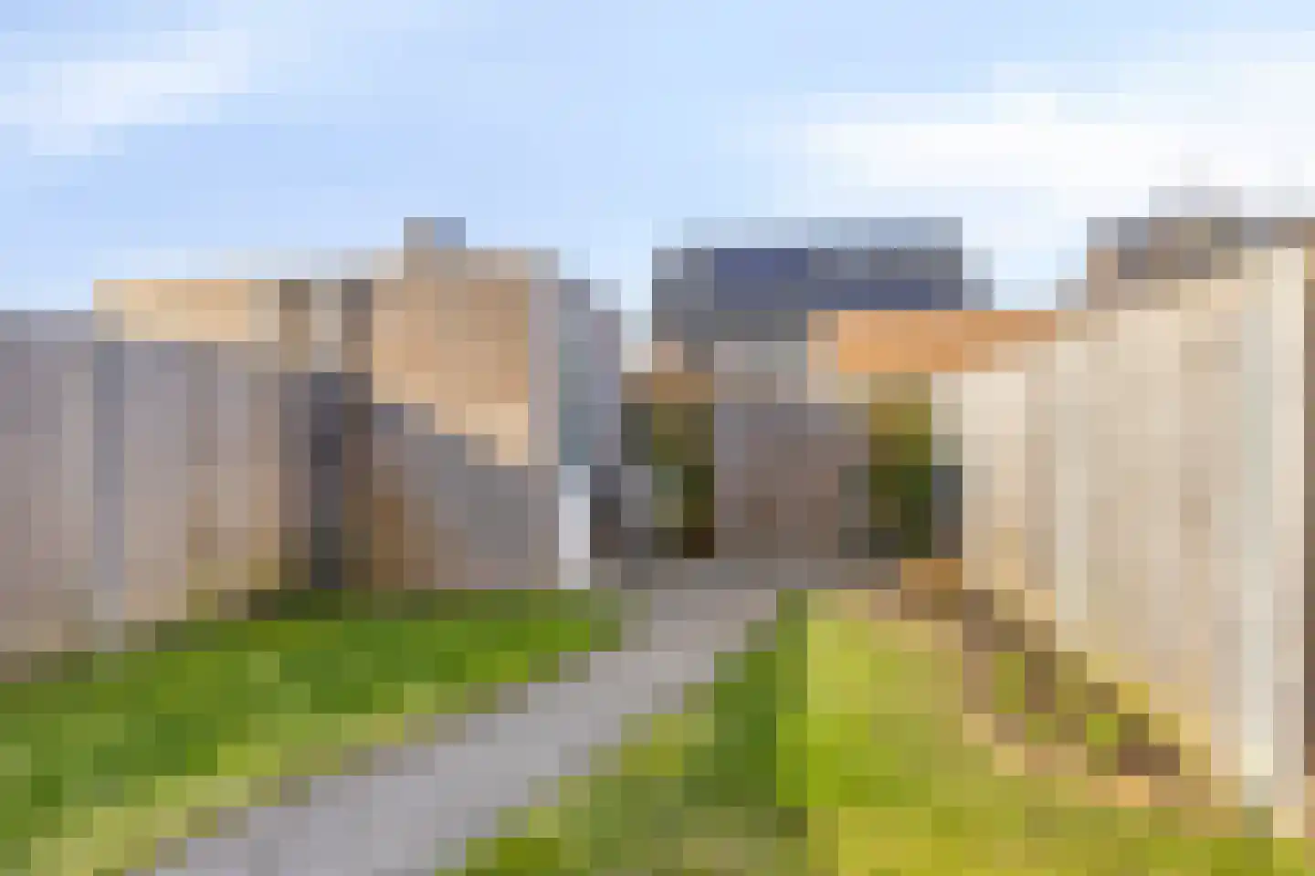 Sleutelbloem 69 Leek thumbnail 42