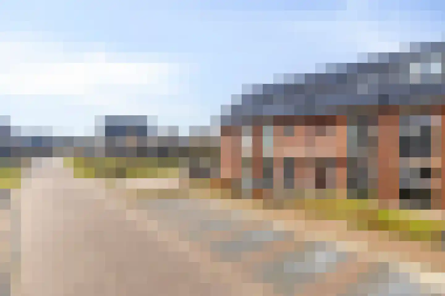 Sleutelbloem 69 Leek thumbnail 43
