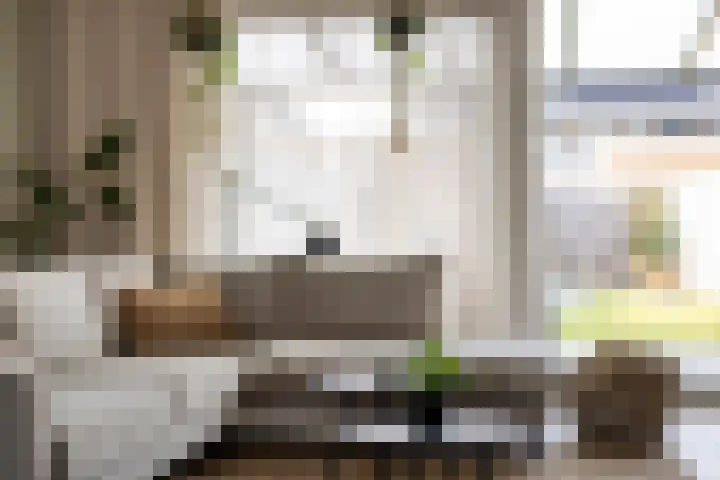 Sleutelbloem 69 Leek thumbnail 6
