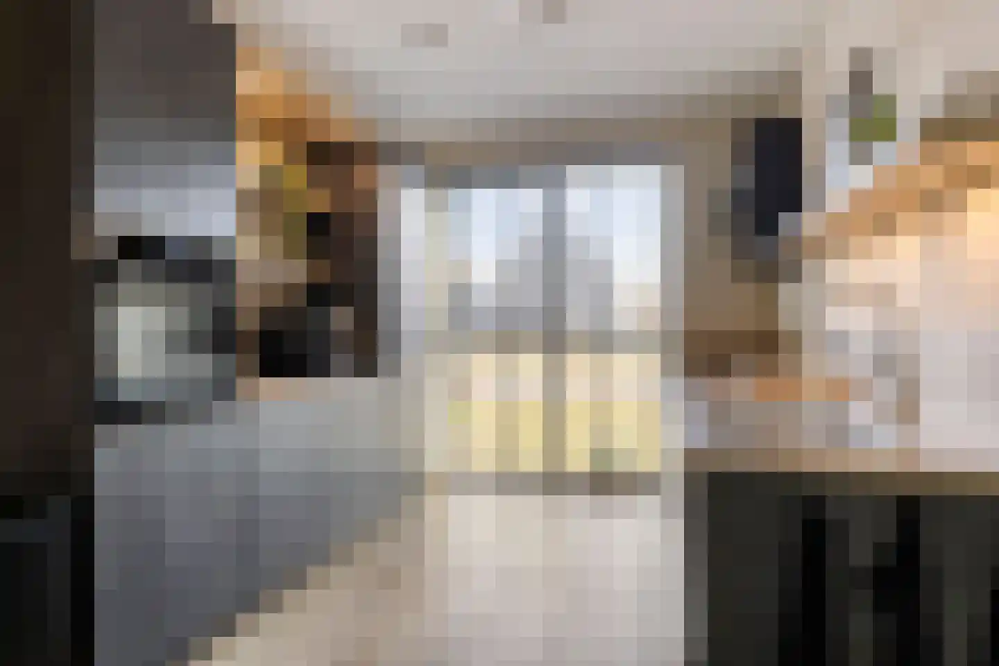 Sleutelbloem 69 Leek thumbnail 7