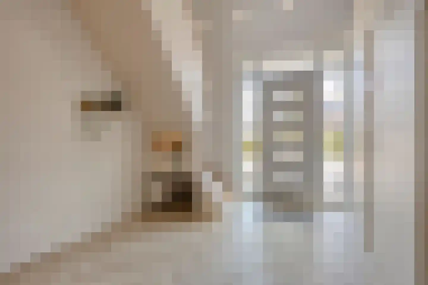 Sleutelbloem 7 Haaksbergen thumbnail 12