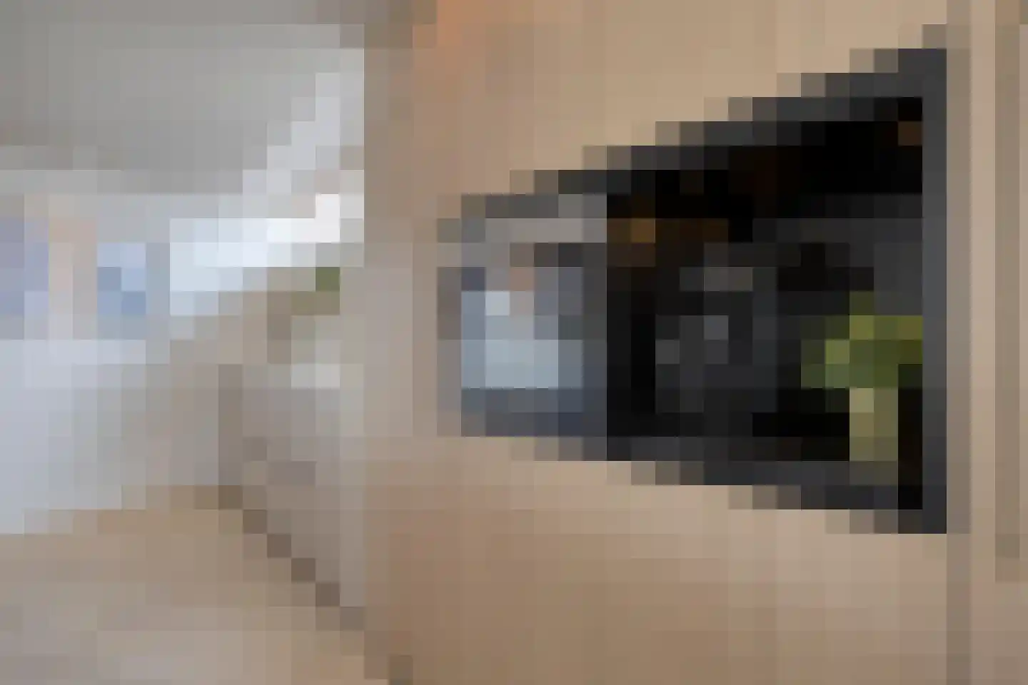 Sleutelbloem 7 Haaksbergen thumbnail 17