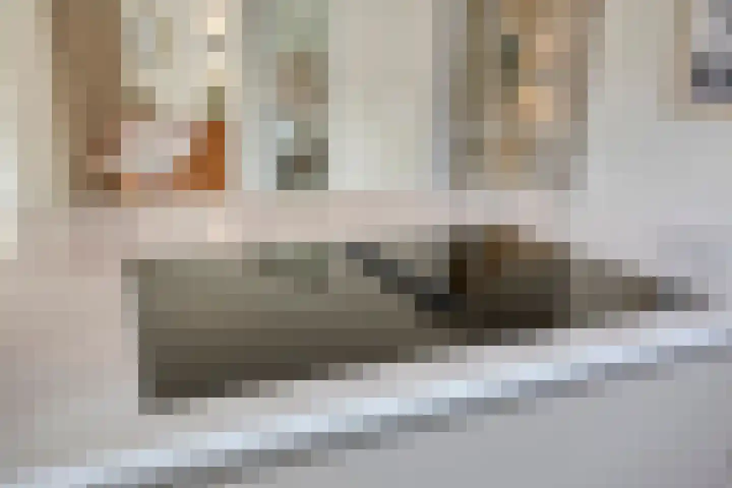 Sleutelbloem 7 Haaksbergen thumbnail 18