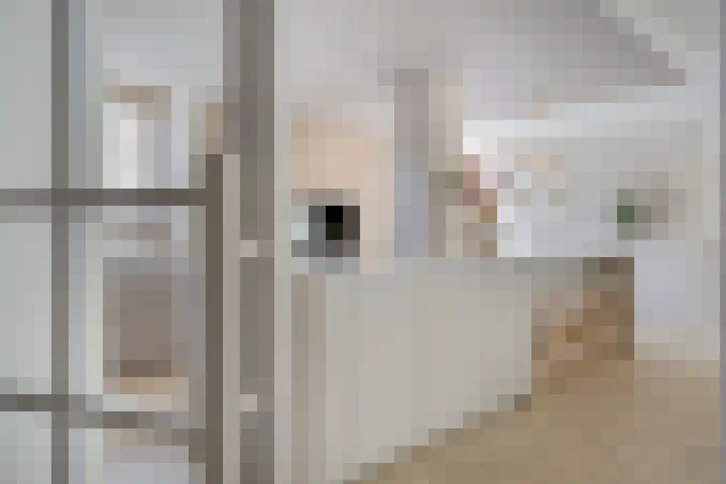 Sleutelbloem 7 Haaksbergen thumbnail 22