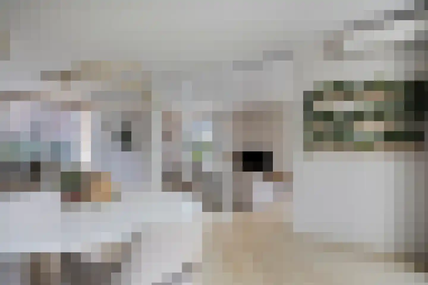 Sleutelbloem 7 Haaksbergen thumbnail 24