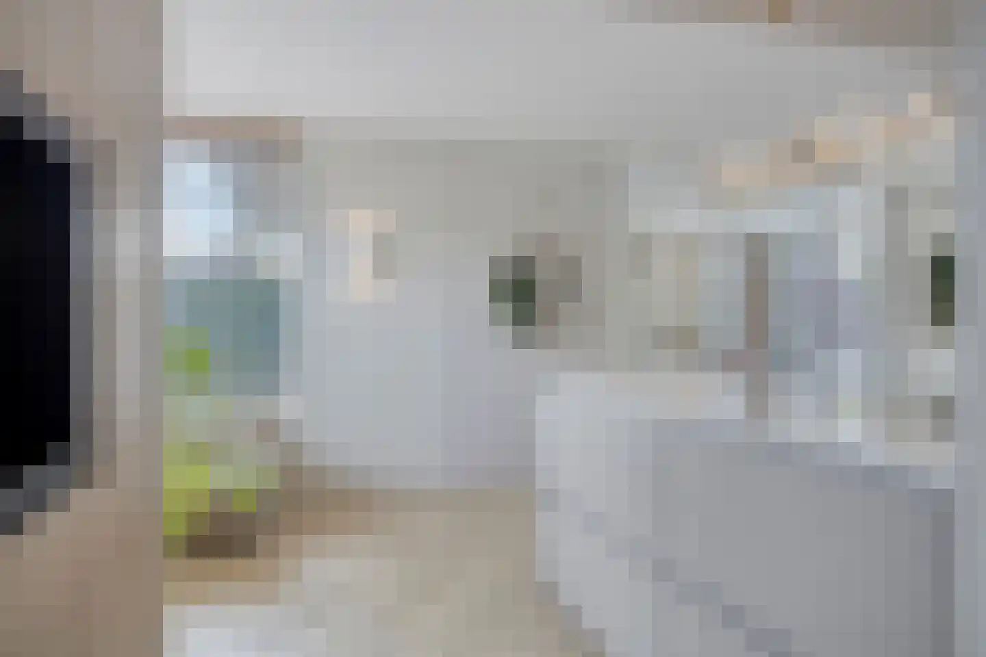 Sleutelbloem 7 Haaksbergen thumbnail 30