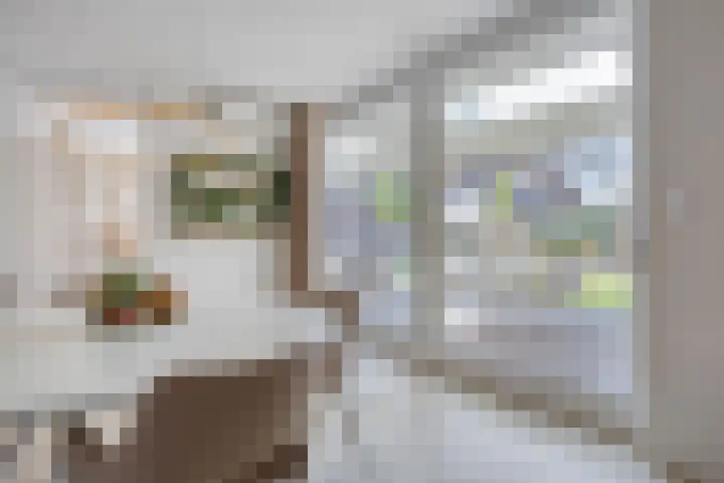 Sleutelbloem 7 Haaksbergen thumbnail 38