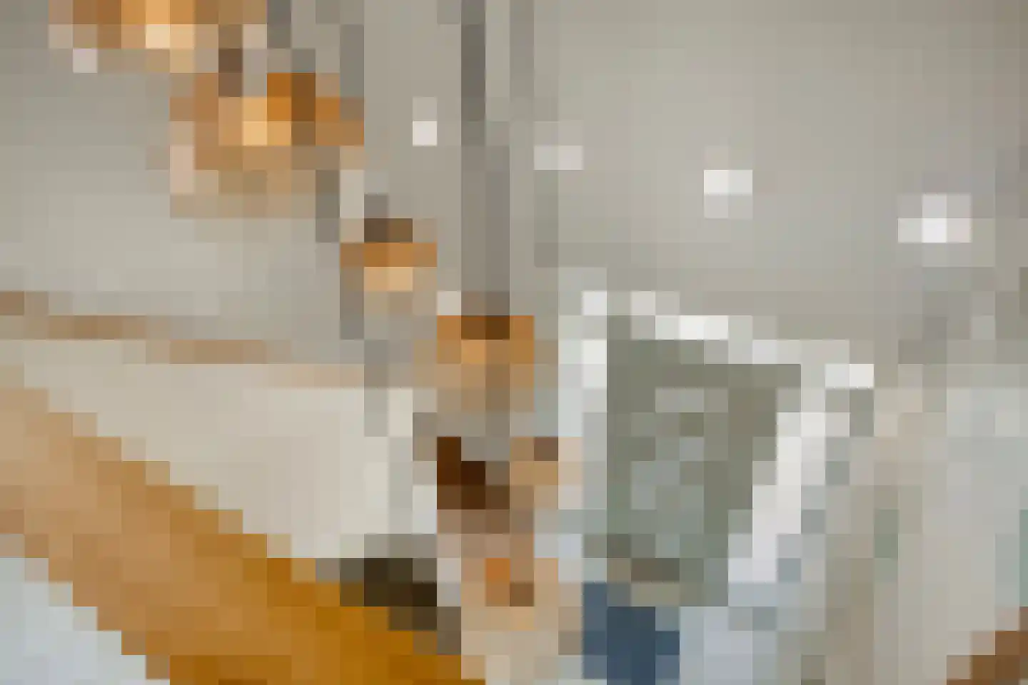 Sleutelbloem 7 Haaksbergen thumbnail 45