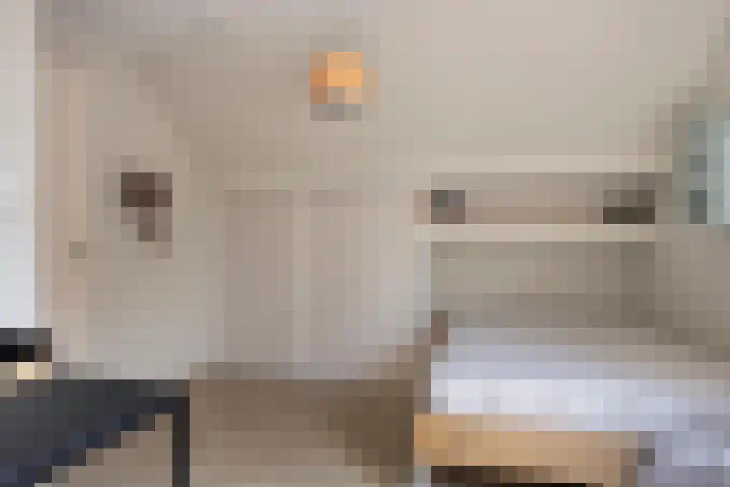 Sleutelbloem 7 Haaksbergen thumbnail 47