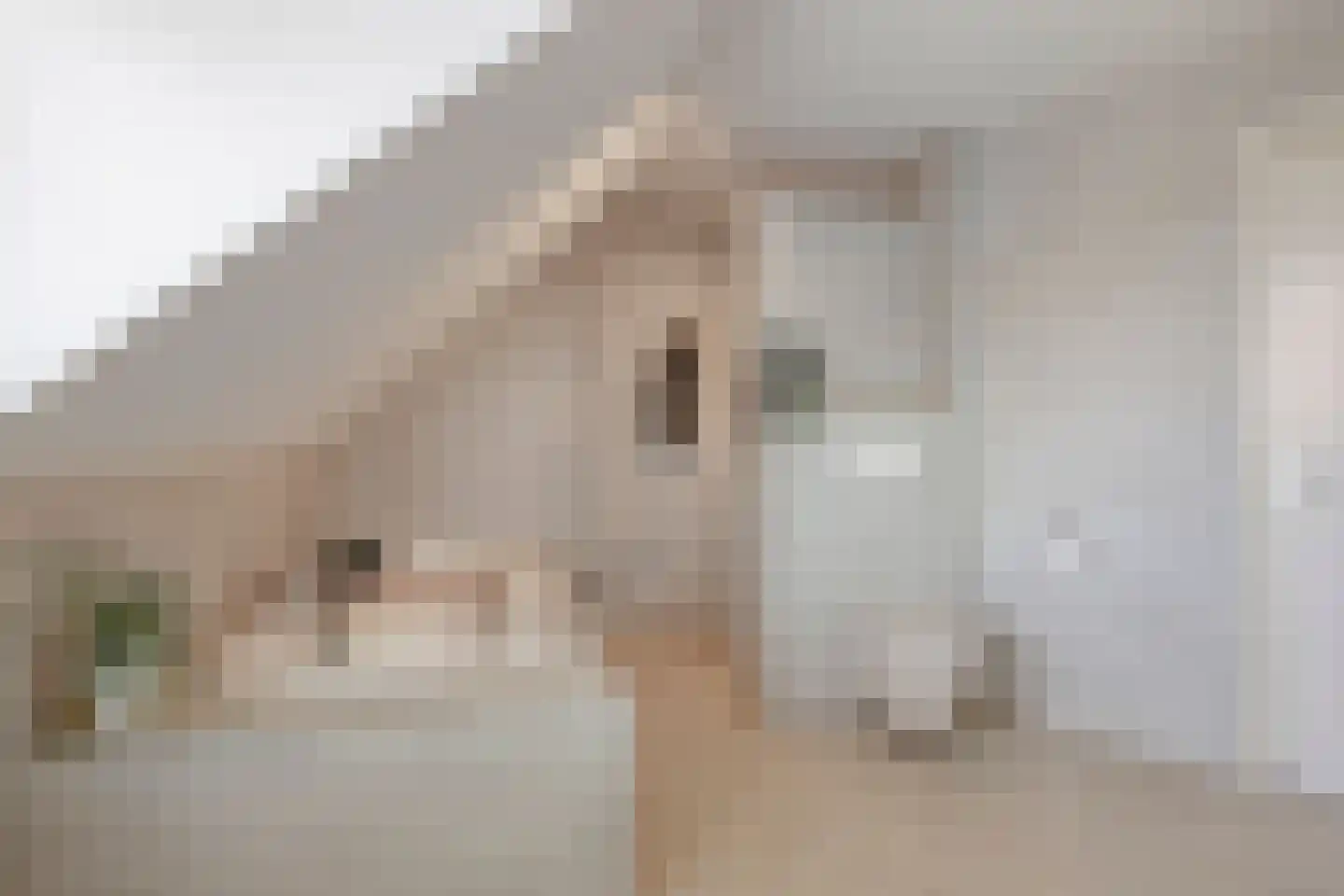 Sleutelbloem 7 Haaksbergen thumbnail 50
