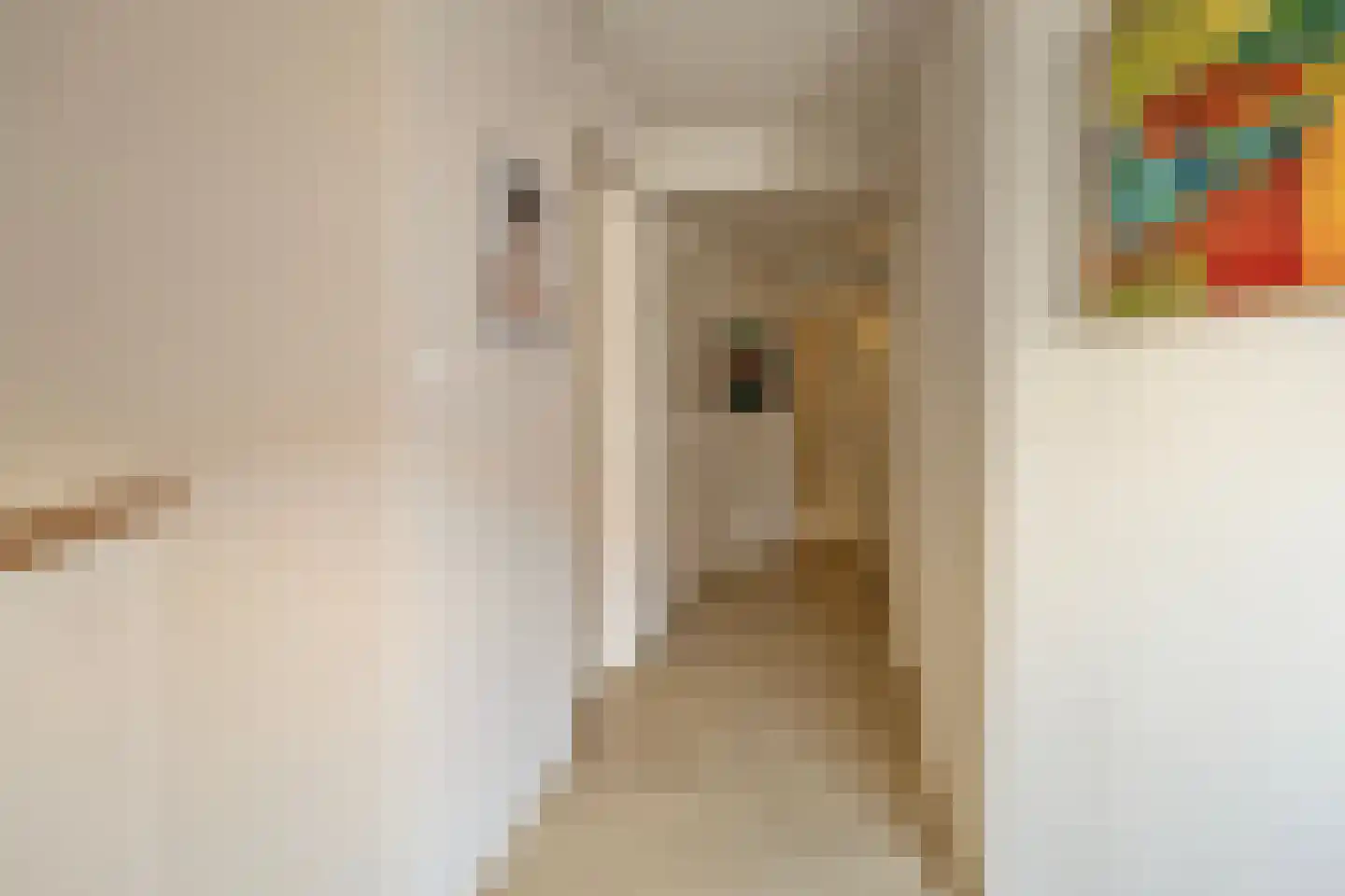 Sleutelbloem 7 Haaksbergen thumbnail 51