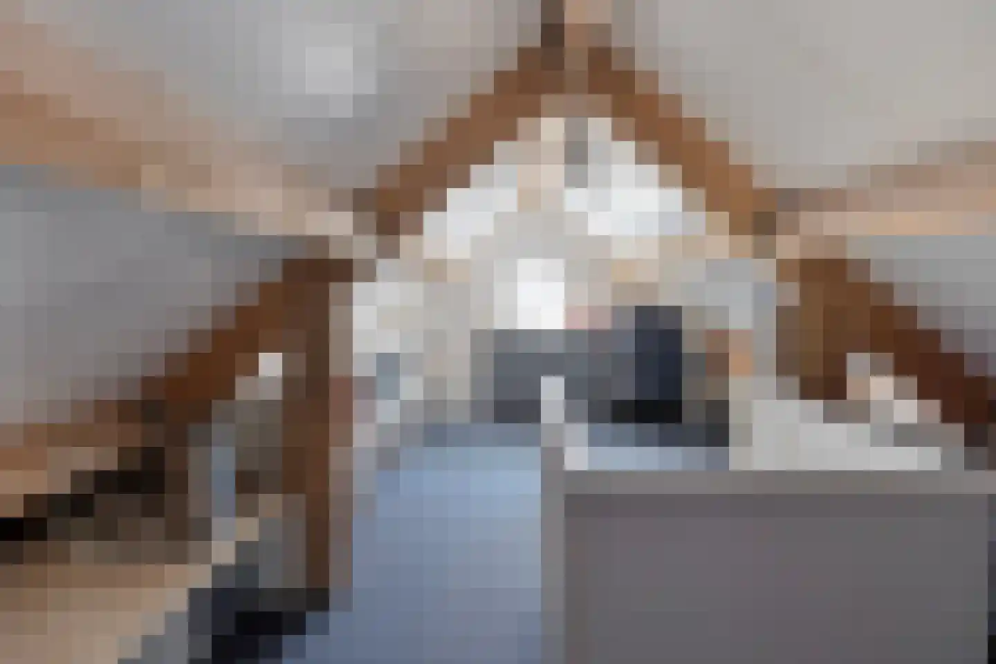Sleutelbloem 7 Haaksbergen thumbnail 60