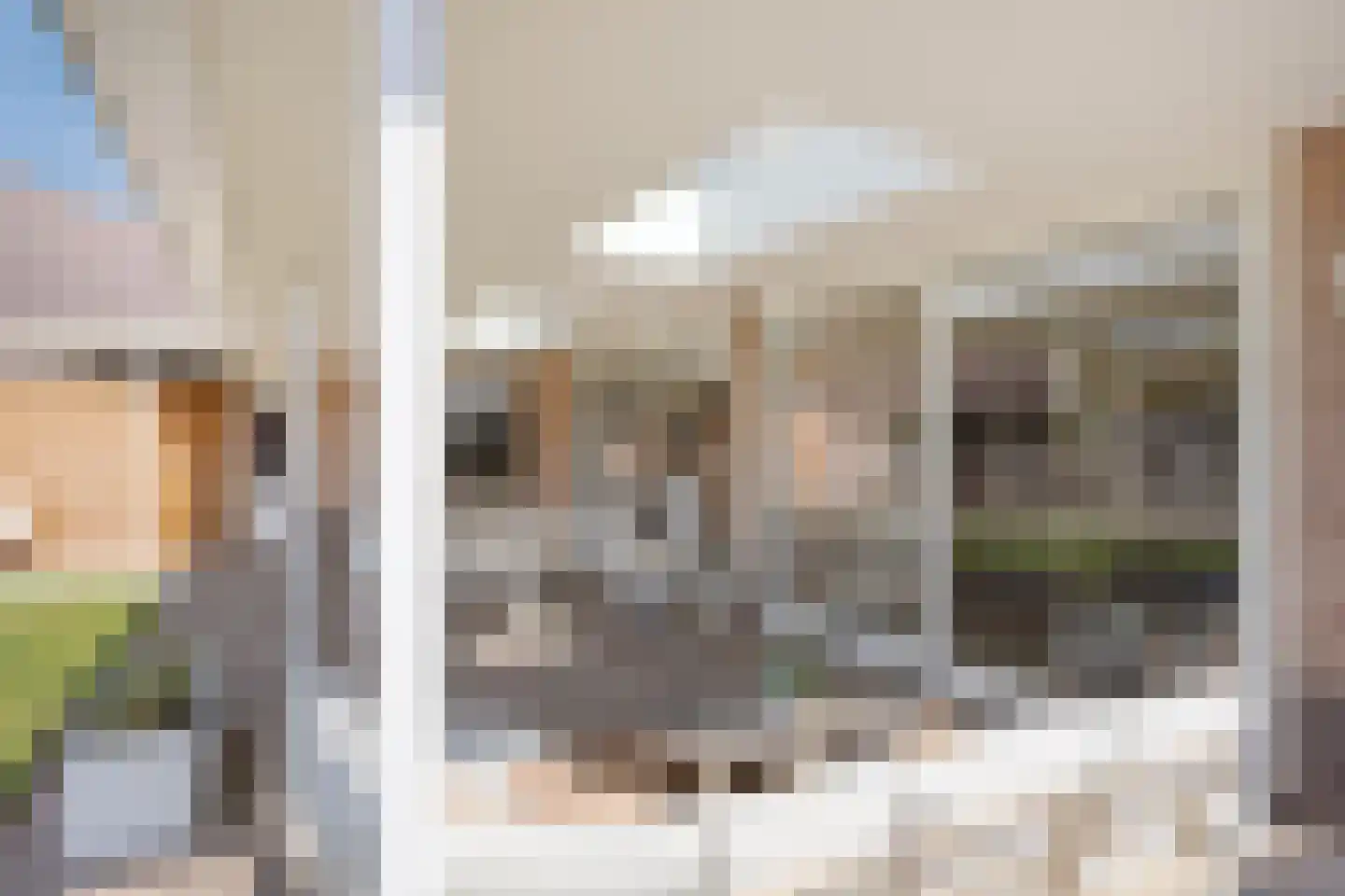 Sleutelbloem 7 Haaksbergen thumbnail 62