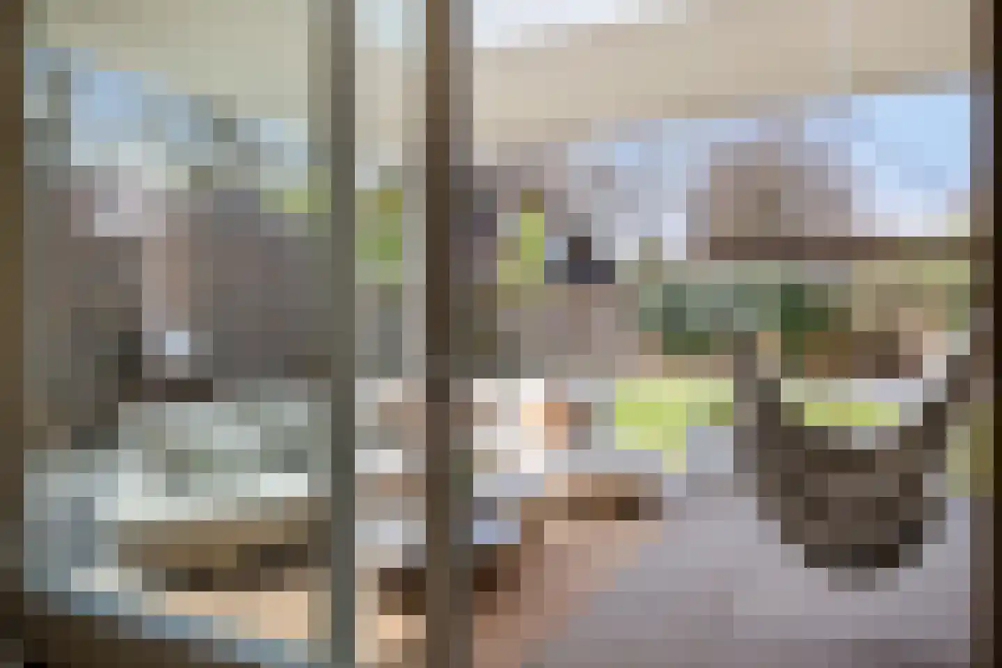 Sleutelbloem 7 Haaksbergen thumbnail 67