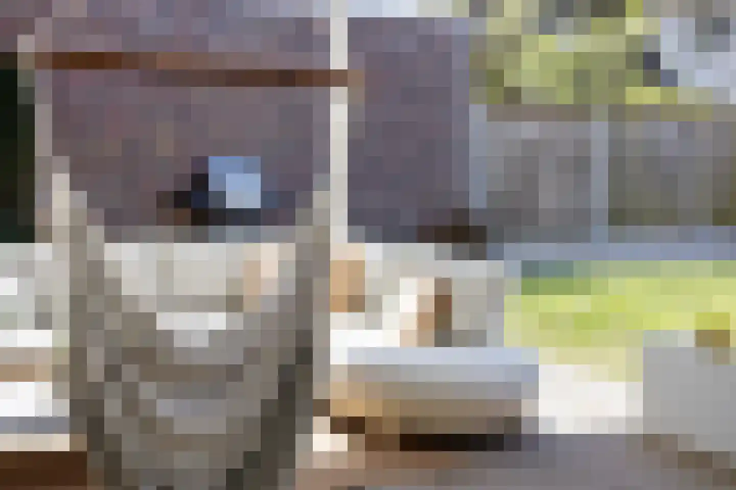 Sleutelbloem 7 Haaksbergen thumbnail 68