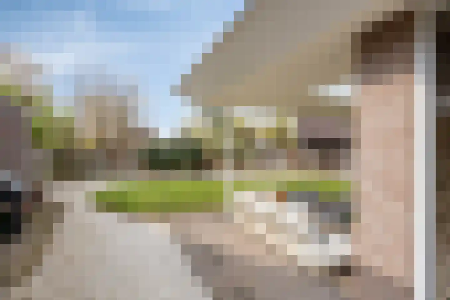 Sleutelbloem 7 Haaksbergen thumbnail 69