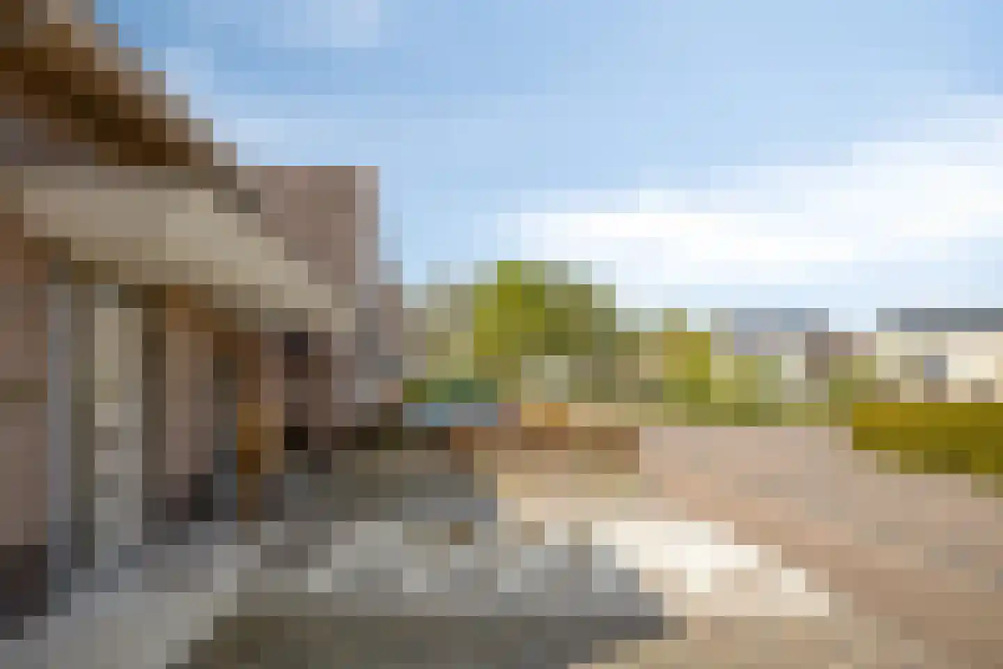 Sleutelbloem 7 Haaksbergen thumbnail 7